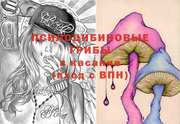 спиды Вяземский