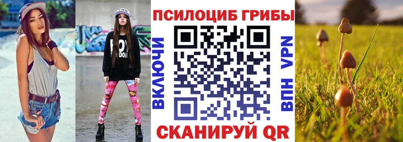 Галлюциногенные грибы Cubensis  сколько стоит  Ветлуга 